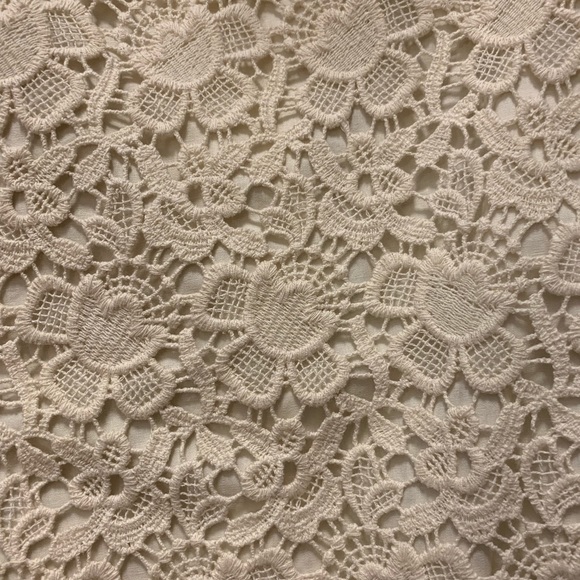 NWT Loft skirt - Picture 2 of 6